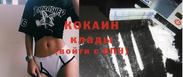 ГАЛЛЮЦИНОГЕННЫЕ ГРИБЫ Сясьстрой