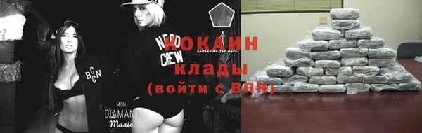 шишки Киренск