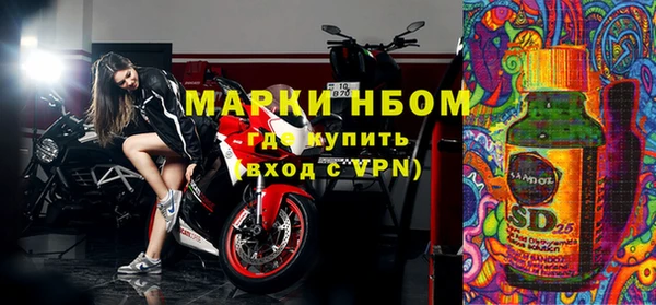 шишки Киренск
