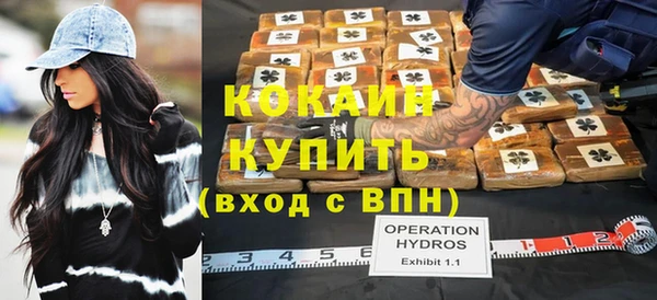 шишки Киренск