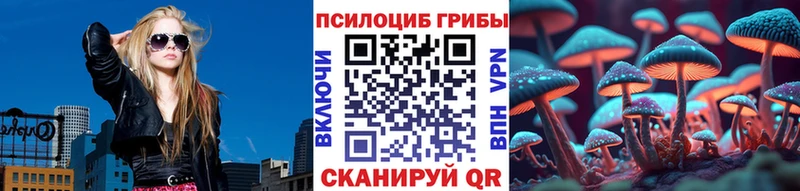 Купить  Камызяк  Галлюциногенные грибы ЛСД 